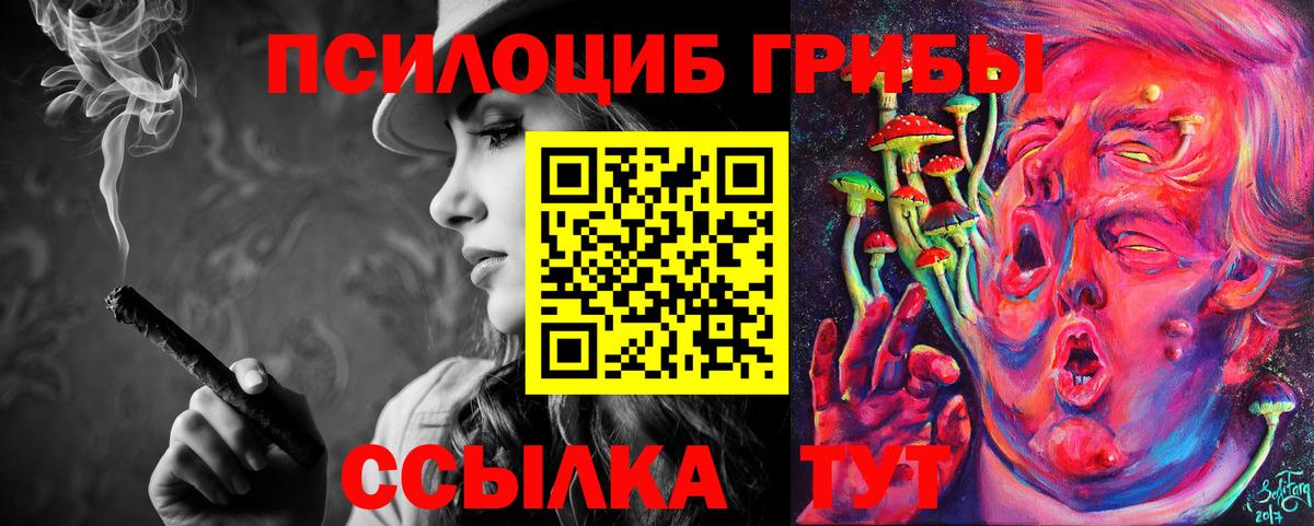 Галлюциногенные грибы MAGIC MUSHROOMS  Вход с VPN  Казань 